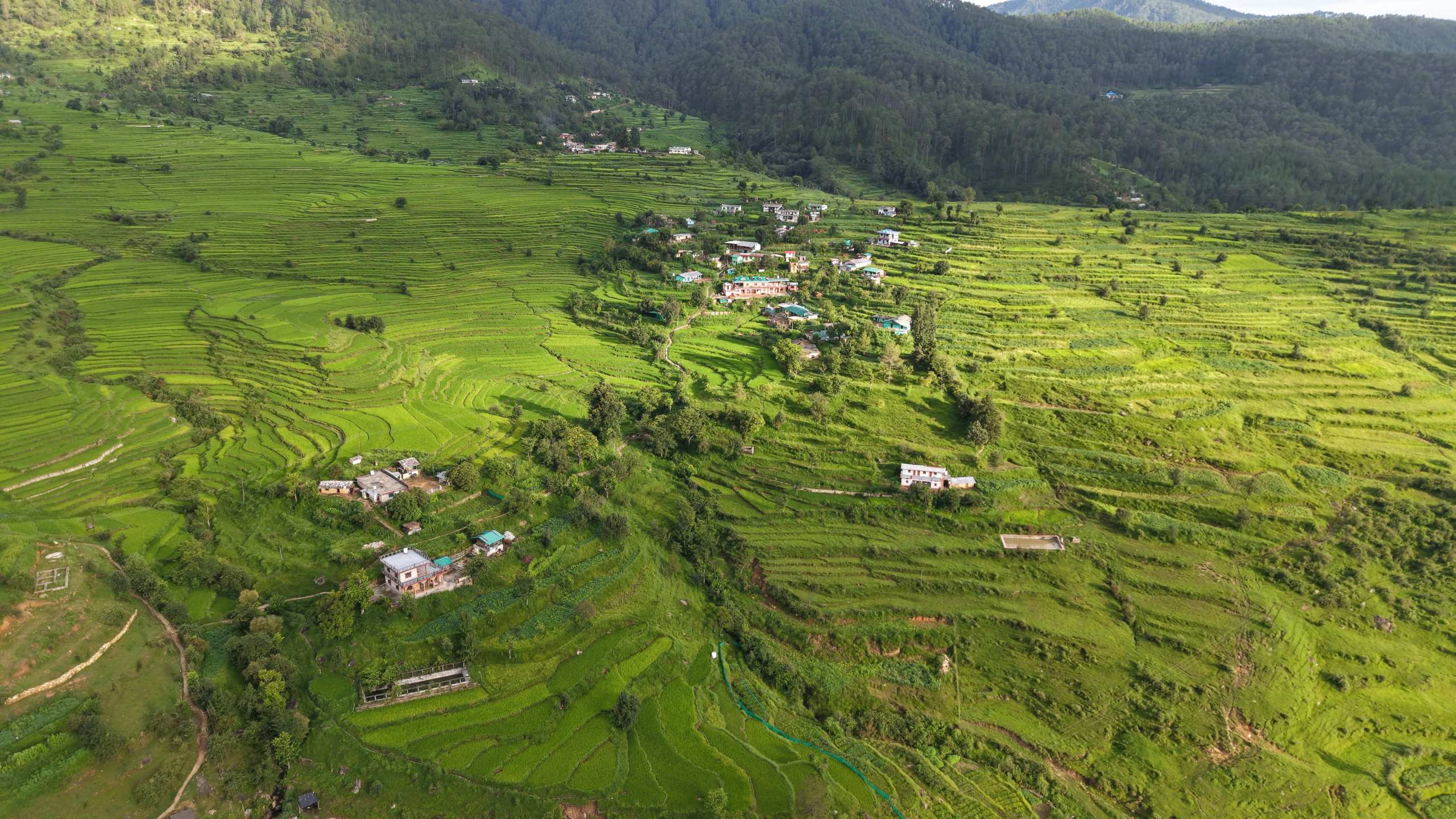 संस्कृति