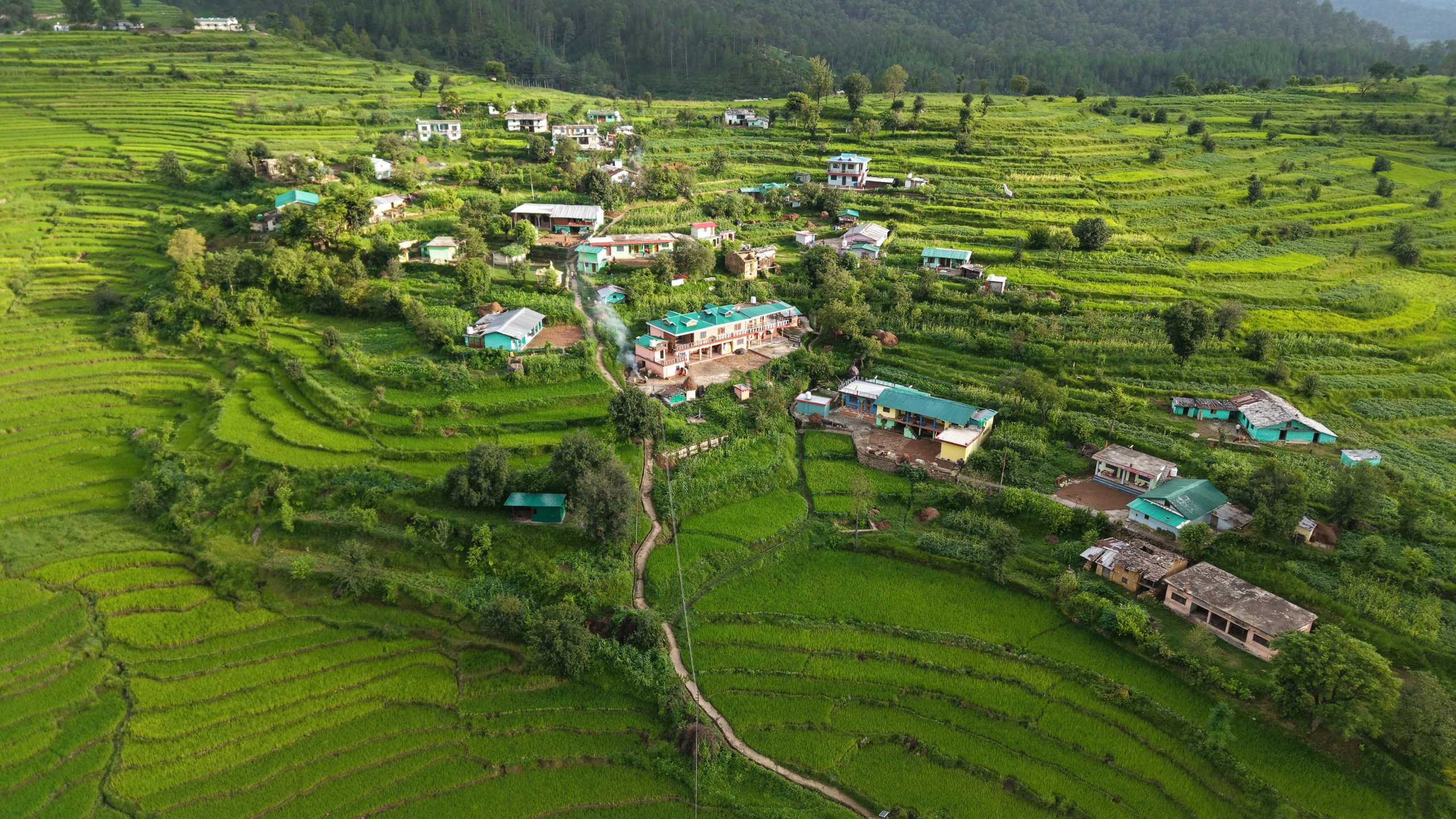 ग्राम विकास